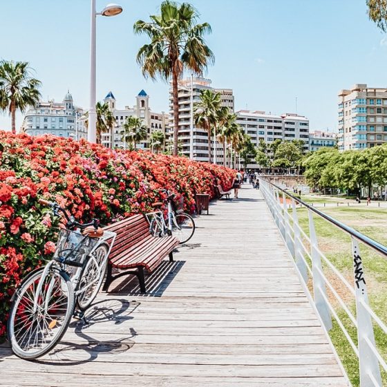 An Extensive Guide to Public Transport in Valencia