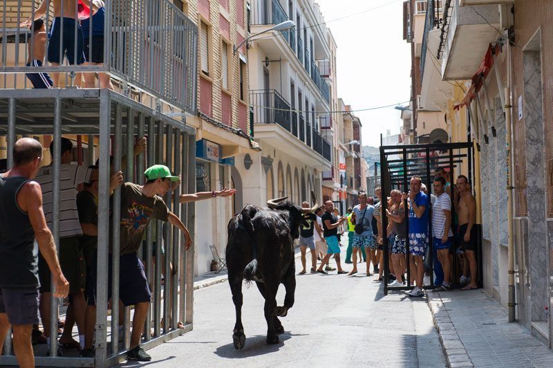 Bull run in the streets
