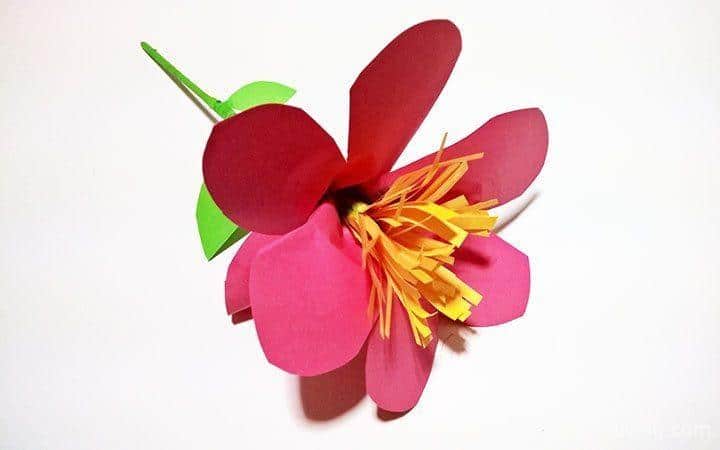 Paper Flower Project