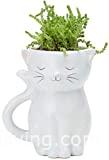 Cat Flower Planter Pot