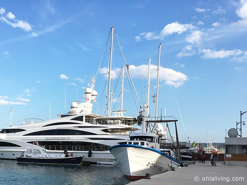 Denia Port