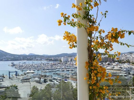 Vi Cool Bar Ibiza