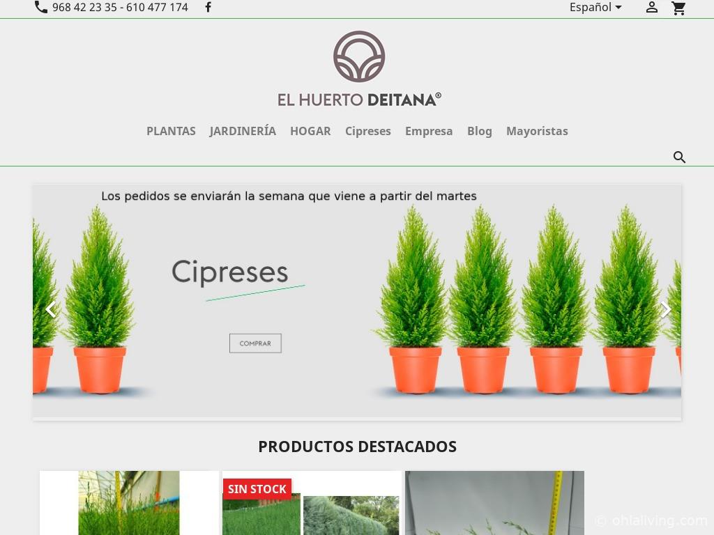 Plantas de Huerto