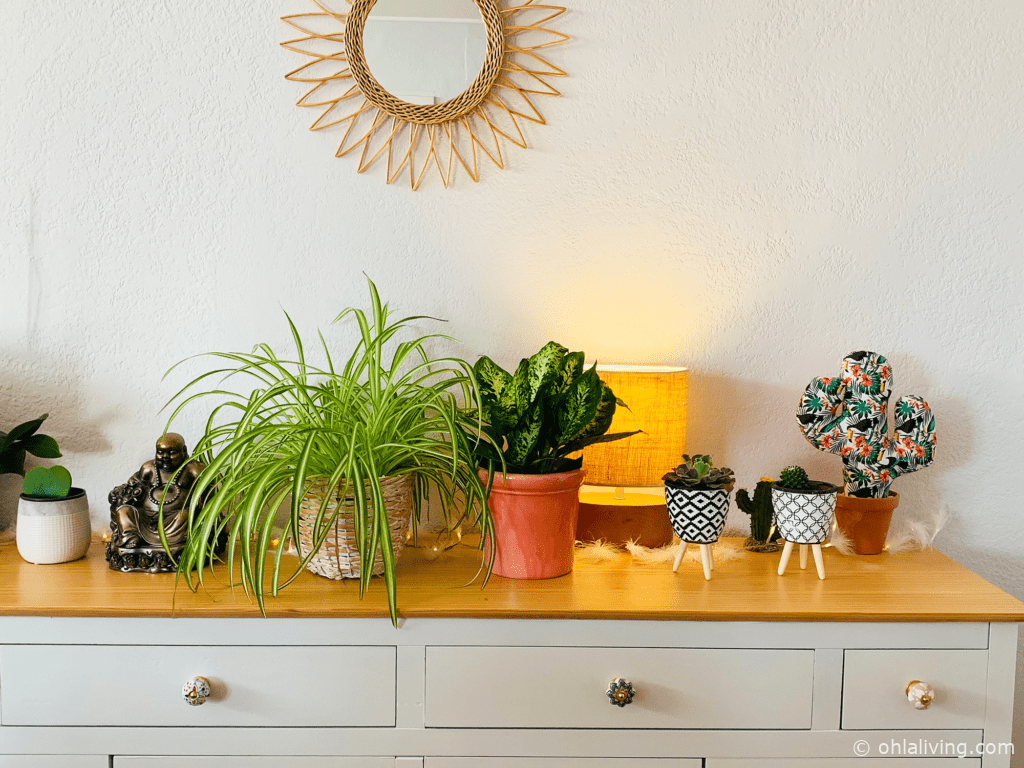 30 Quirky Plant Pots For Succulents And Indoor Plants