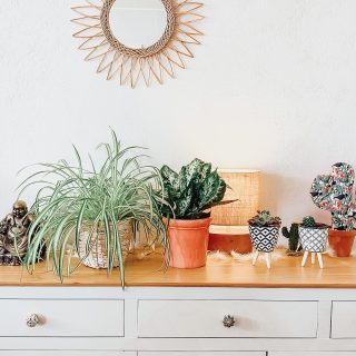 Quirky Succulent Plant Pots