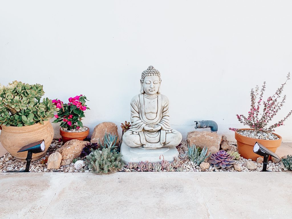 Elevate Your Space with a Blissful Succulent Zen Garden: DIY Weekend ...