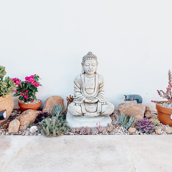 DIY Succulent Zen Garden