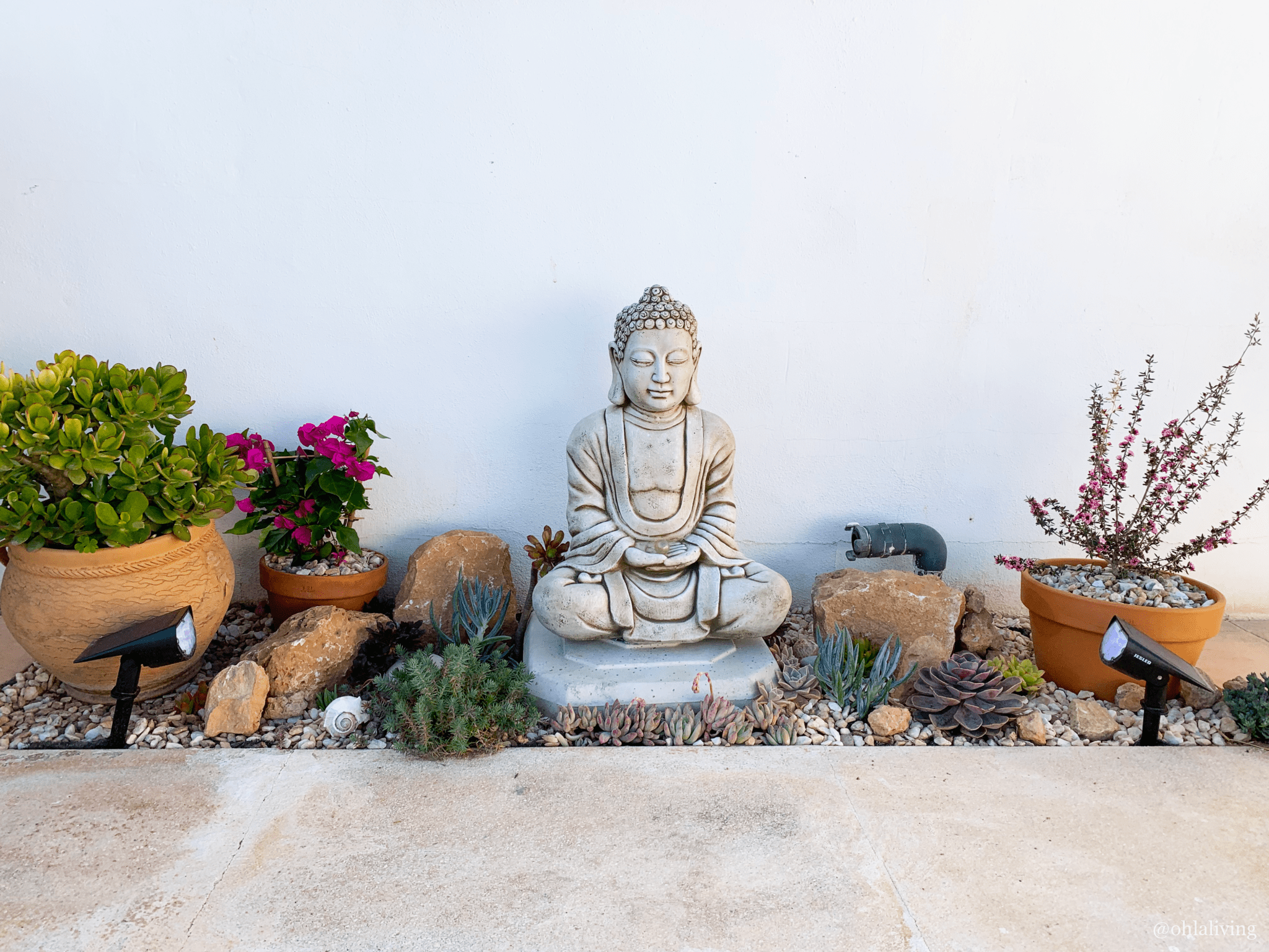 DIY Succulent Zen Garden