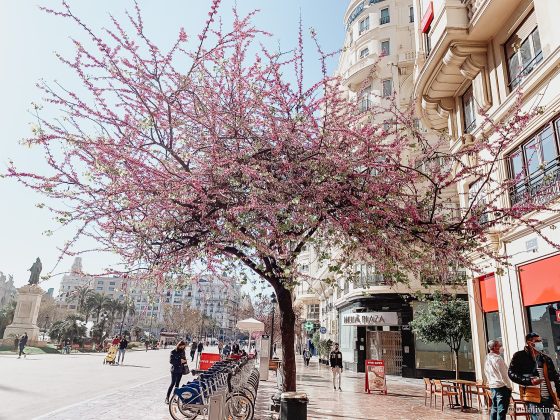 Valencia Spain In Spring