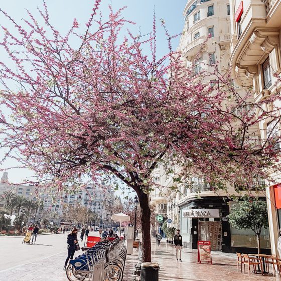 Valencia Spain In Spring