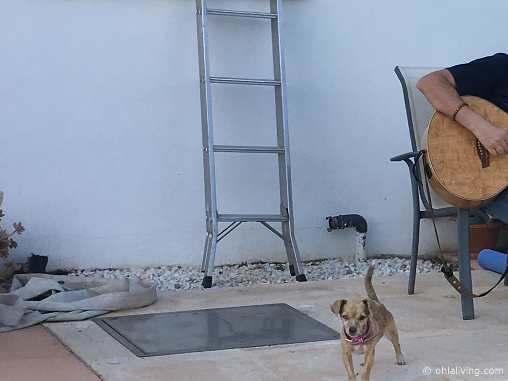 zen garden area before
