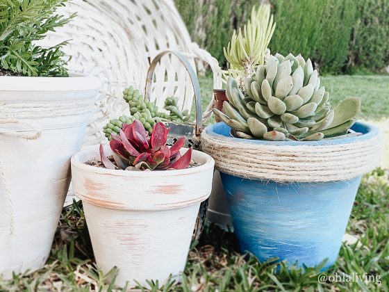 Rustic Terracotta Pots