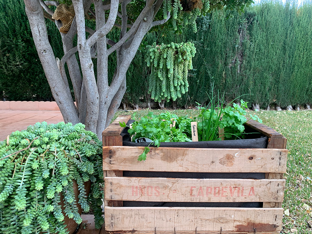 Jardín de caja de hierbas de bricolaje