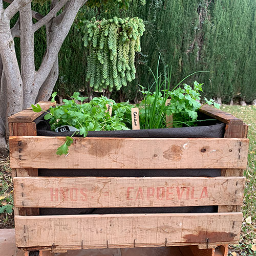DIY Herb Box Garden 2
