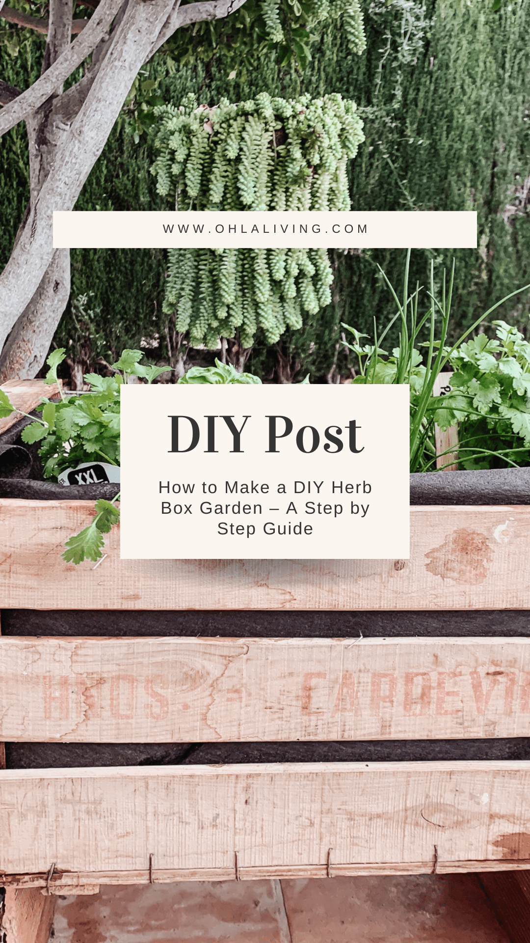 Cómo hacer un jardín de hierbas DIY Box - Una guía paso a paso 