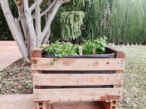 DIY Herb Box Garden