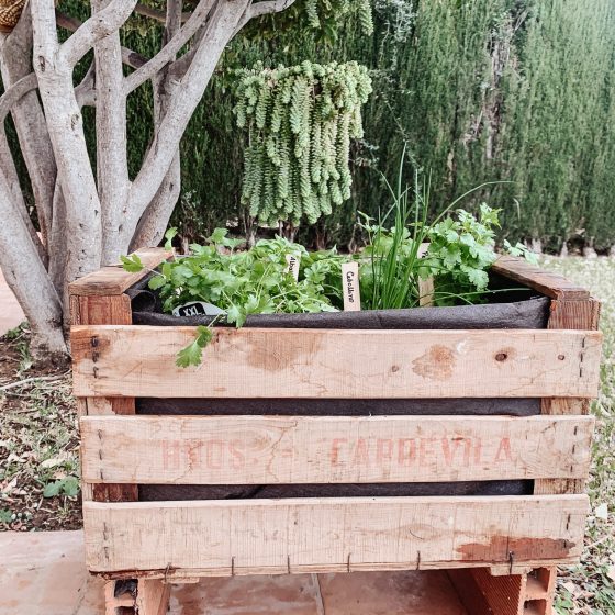 DIY Herb Box Garden