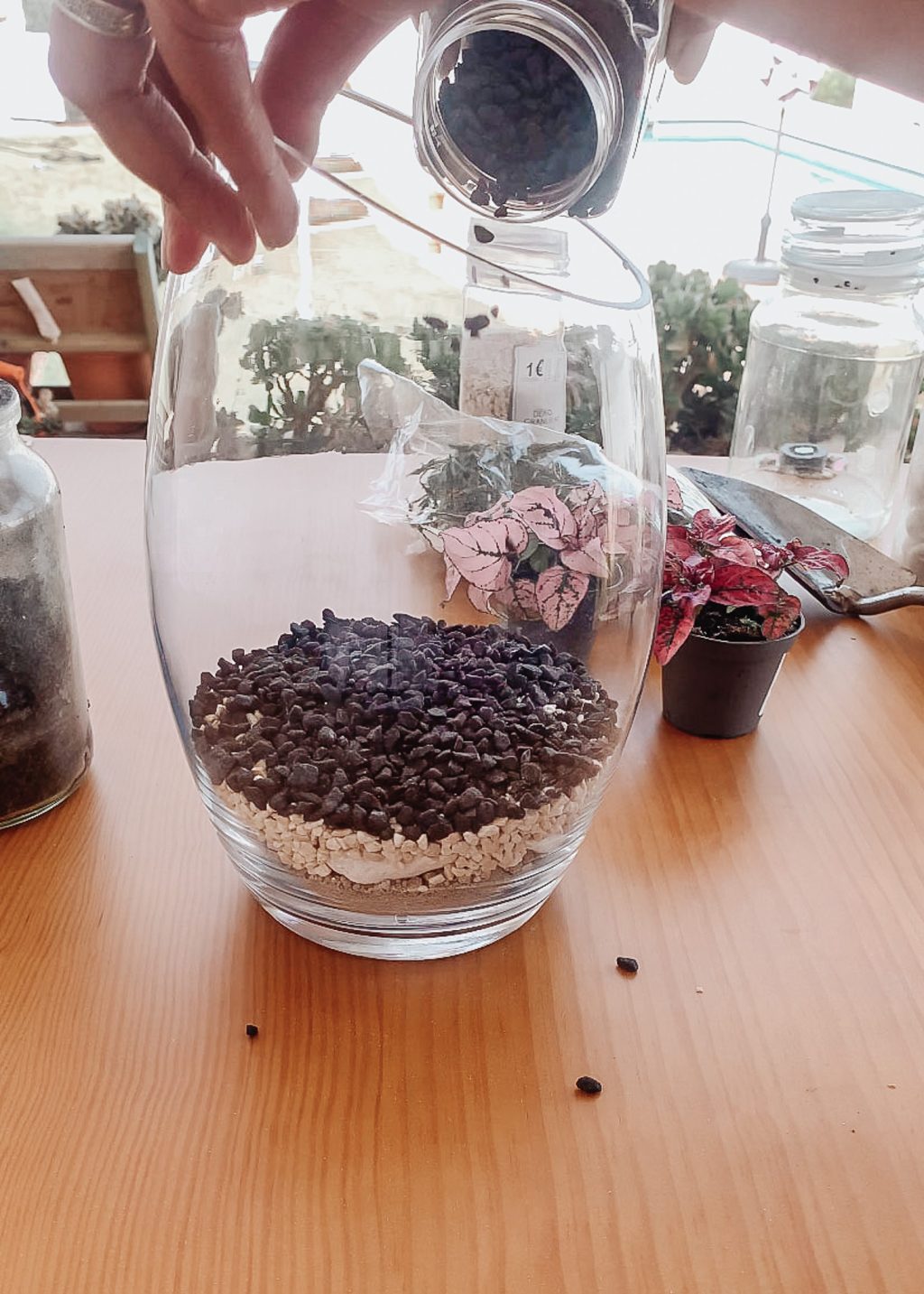 add charcoal to the terrarium