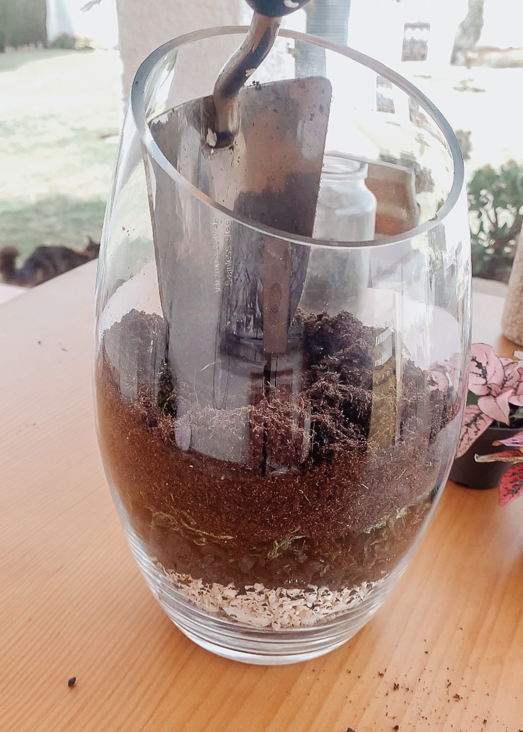 add soil to terrarium