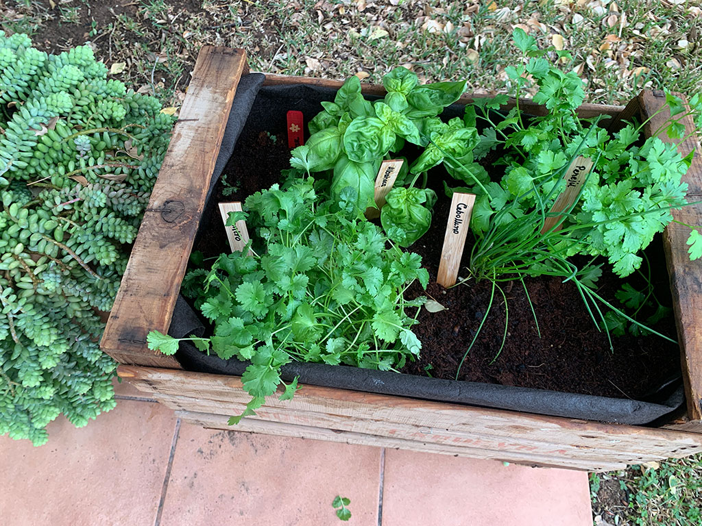Jardinera de madera para hierbas