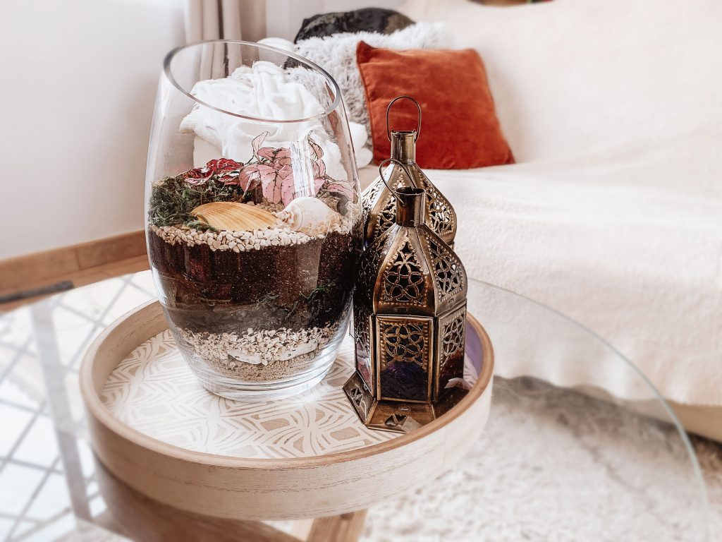 Open Terrarium