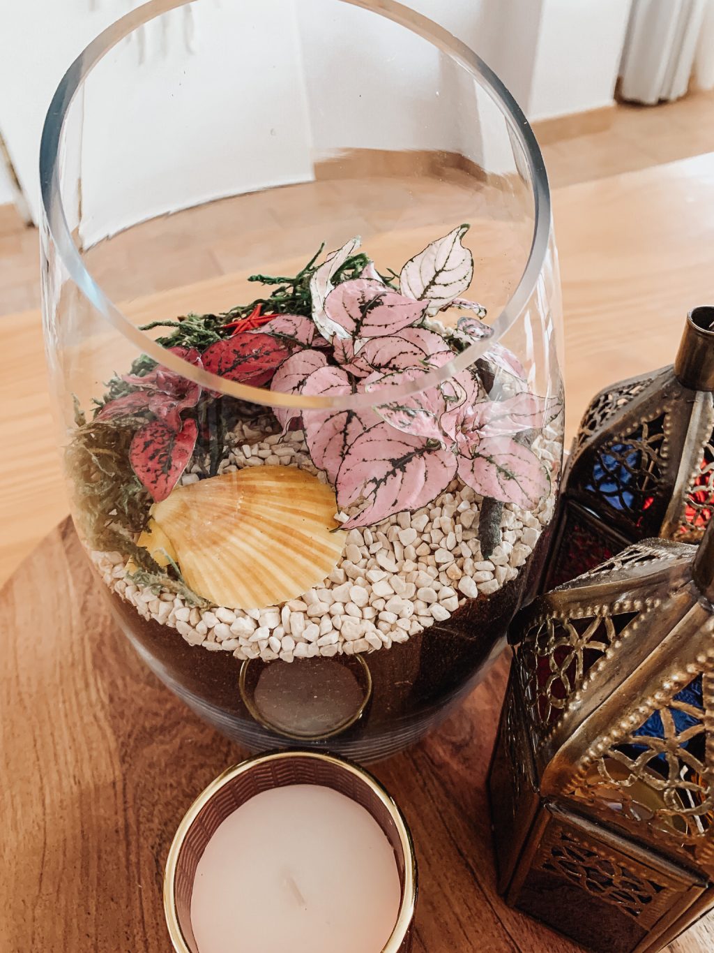 terrarium in a vase