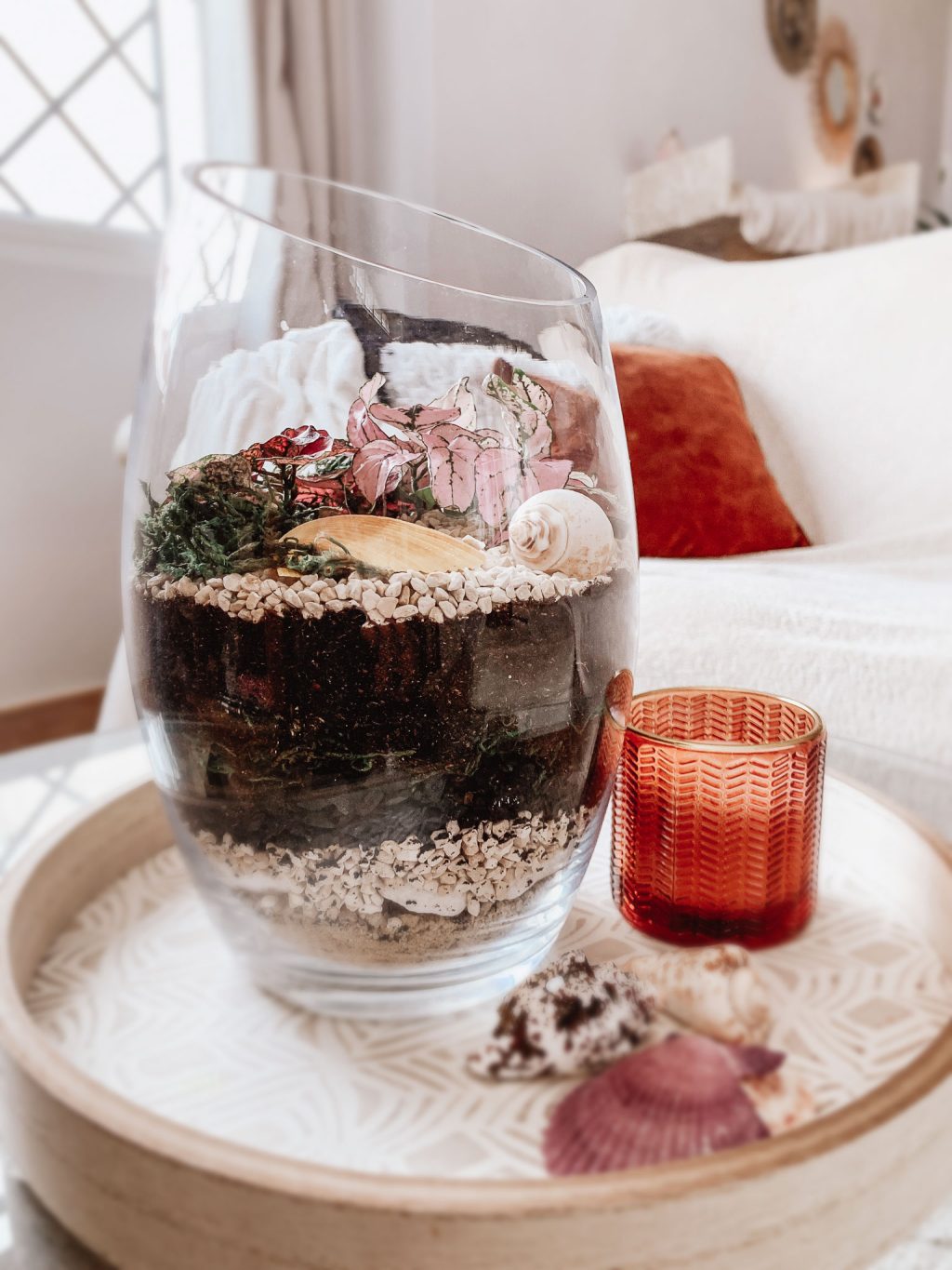 Terrarium with tropical plants