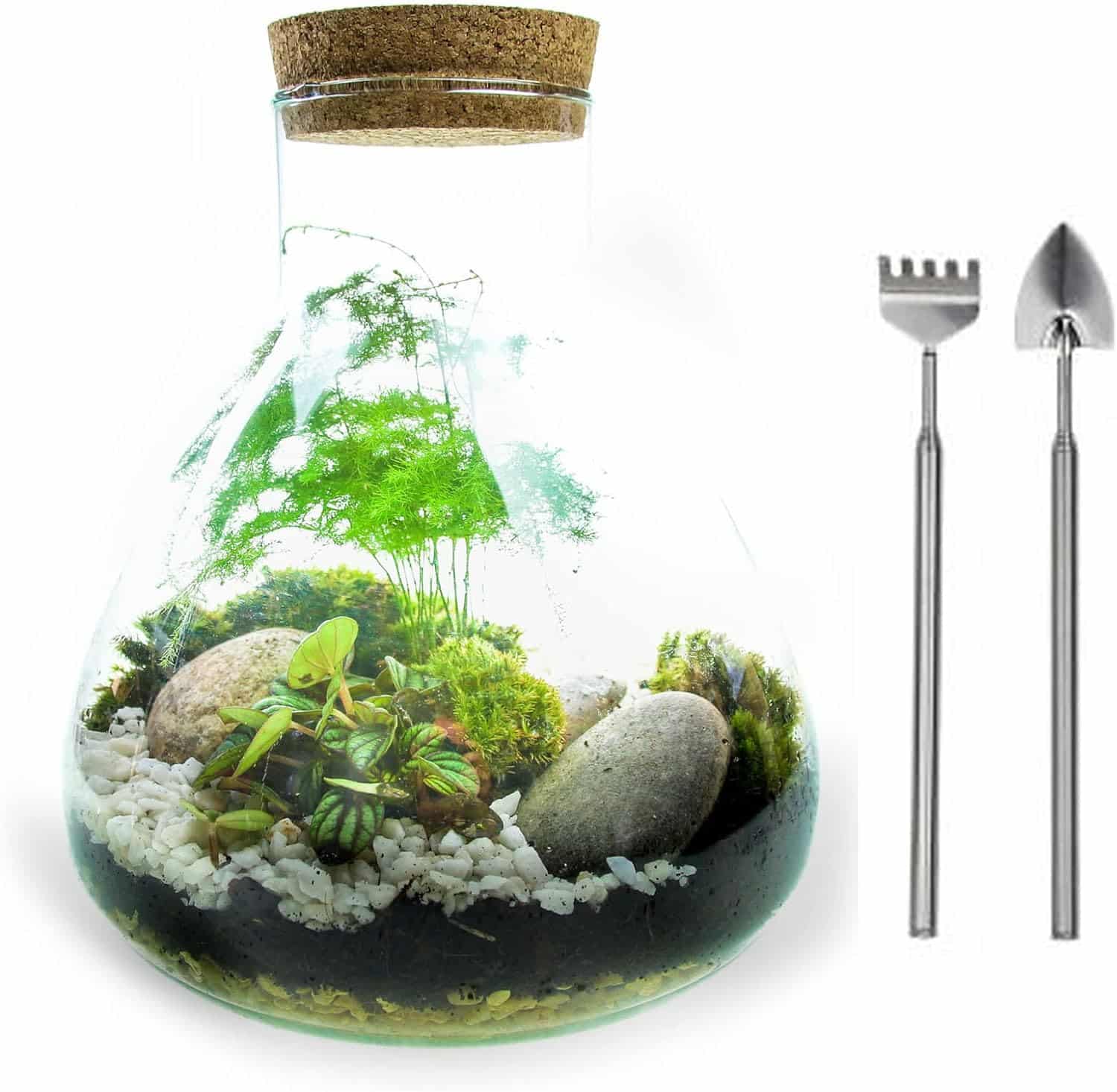 Closed Terrarium Kit