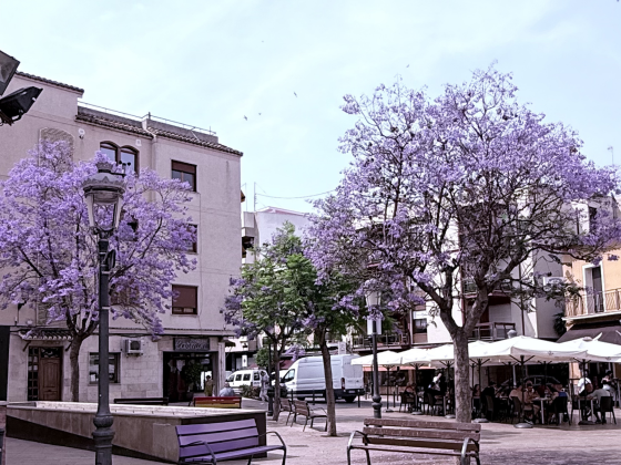 Living in Valencia Outskirts L'Eliana