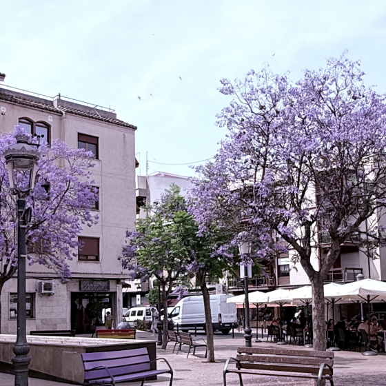 Living in Valencia Outskirts L'Eliana